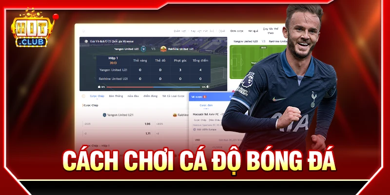 Cách Chơi Cá Độ Bóng Đá Cho Người Mới: Hiểu Kèo & Quản Lý Vốn cách chơi cá độ bóng đá